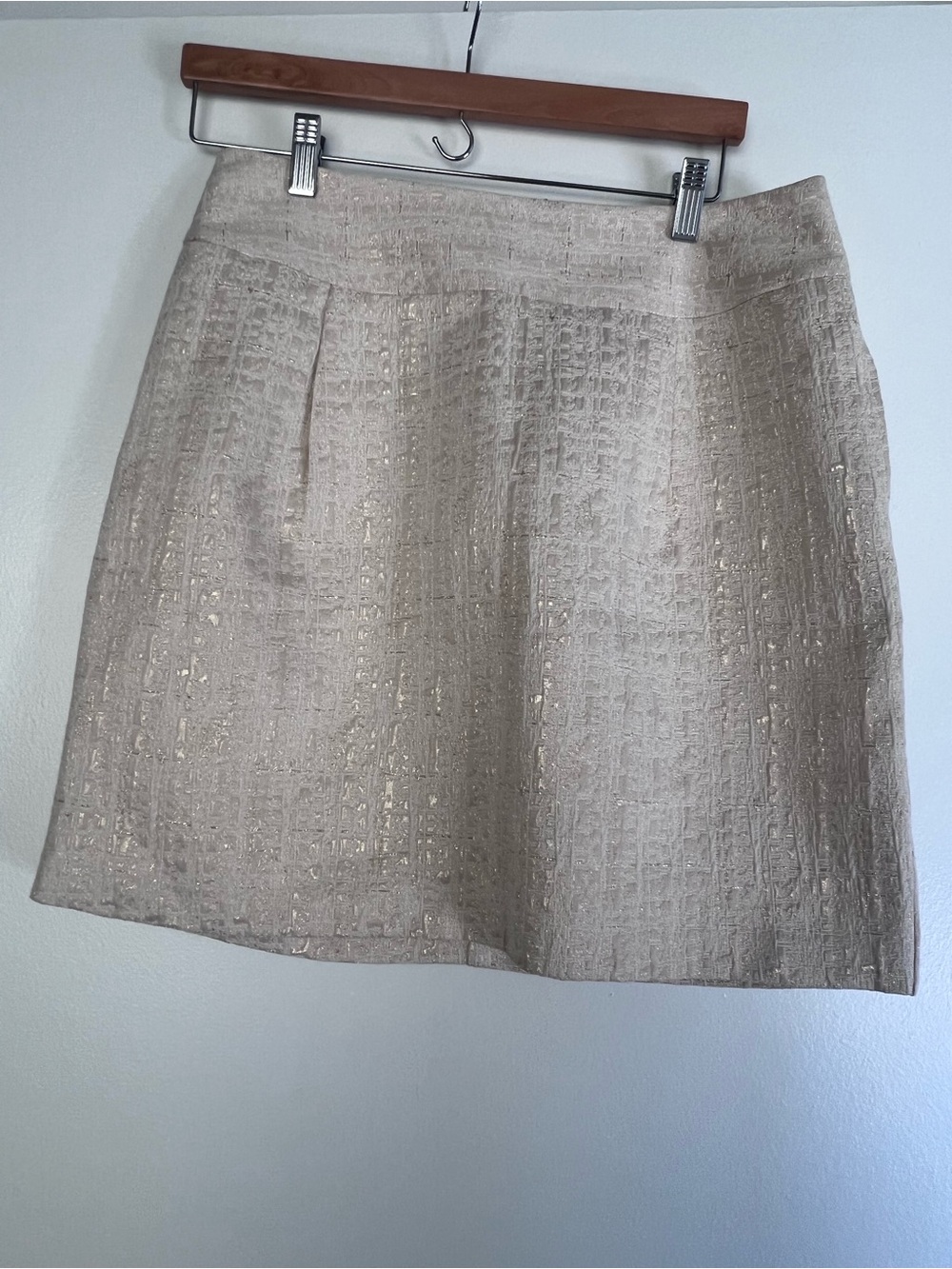 Merona Beige A-Line Skirt with Subtle Metallic Threading